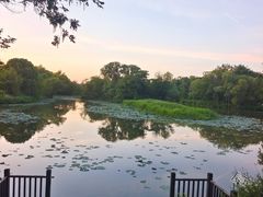 -西溪国家湿地公园