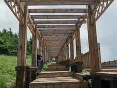 -白草畔自然风景区