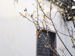 -秋霞圃