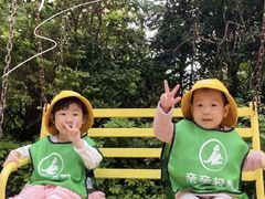 -亲亲袋鼠托育早教·思维专注力·棕熊英语(鼓楼恒力城店)