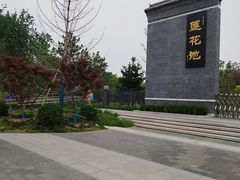 -莲花池公园