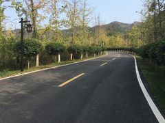-黄陂区野村谷景区