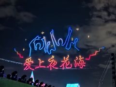 -荷兰花海