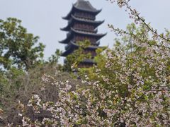 -常熟方塔园