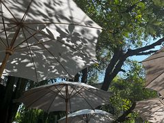 -Fern Forest Cafe
