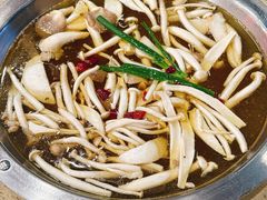 珍菌锅-芭夯兔·无骨兔汤锅(华阳店)