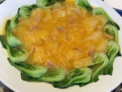 瑶柱烩鱼肚-北京饭店谭家菜