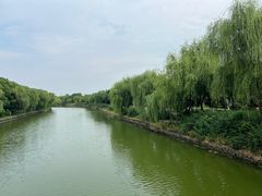 -皇粮浜湿地公园