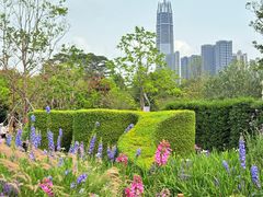 -观澜湖生态运动公社