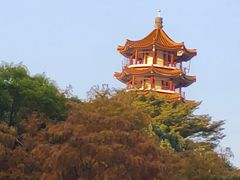 -深圳仙湖植物园