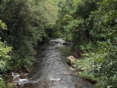 -广州市石门国家森林公园