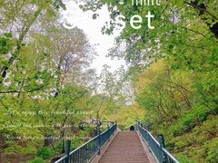 -洛阳白云山景区