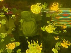 -广州海洋馆