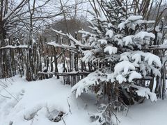 -雪谷