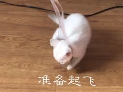 -恋萍小吃(时代店)