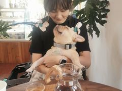-春风十里咖啡馆