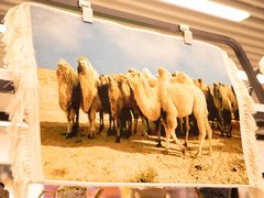 -横琴购口岸商业广场