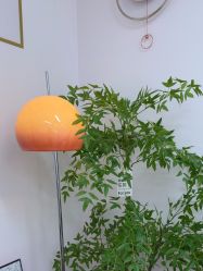 -变美丽半永久纹眉连锁·机器野生眉·洗眉