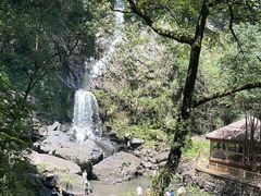 -石台牯牛降景区