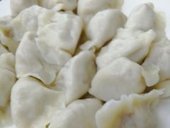 -东北饺子馆(外贸路a9号店)