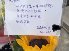 -黄家驹墓
