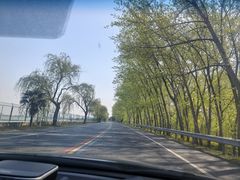 -江苏三台山国家森林公园