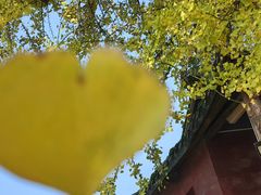 -佛荫寺
