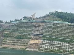 -大青山野生动物园