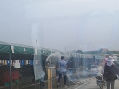 -何庄子阿米玛玛农产品批发市场
