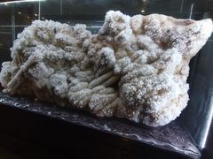 -湖南省地质博物馆