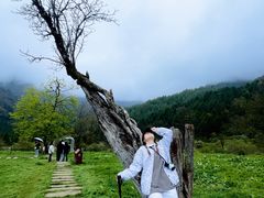 -硗碛藏寨·神木垒景区