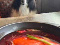 -园里火锅(仁和新城店)