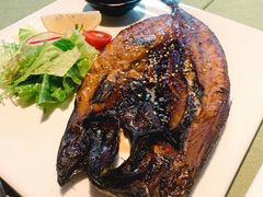 -一棵树·意大利西餐厅One Tree(新城店)