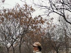 -咸阳湖景区-古渡公园