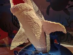 -沈阳海洋探索中心