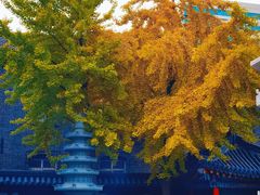 -长安寺