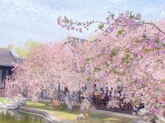 -莫愁湖公园
