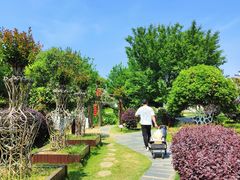 -武汉紫薇都市田园