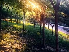 -石家庄市动物园