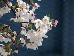 -龙美术馆(西岸馆)