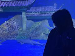 -秦皇岛新澳海底世界