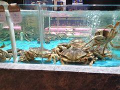 水产区-阿杜打边炉(五江天街店)