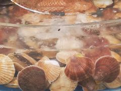 -鑫渔港海鲜本地菜·山海关浑锅(东戴河店)