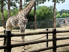 -大连森林动物园