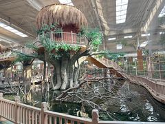 -南宫五洲植物乐园