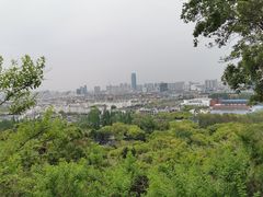 -柳大厨螺蛳粉(人民路总店)