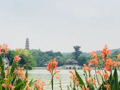-惠州西湖丰渚园