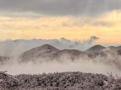 -安吉龙王山风景区