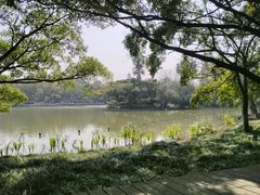 -江心屿景区
