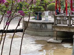 -西安市纺织公园
